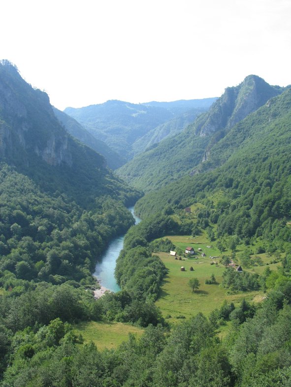 127.jpg