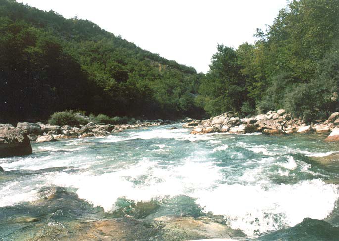 137.jpg
